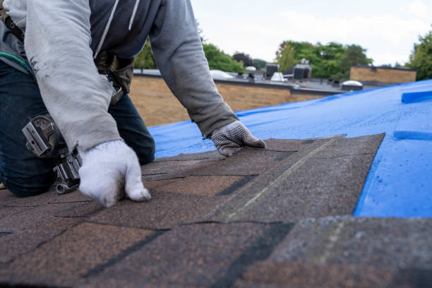 Best Flat Roof Repair Services  in Forest Park, OH