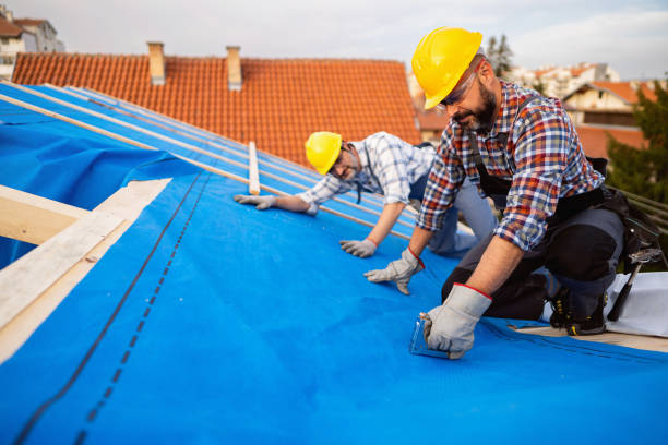 Best Roof Maintenance Services  in Forest Park, OH