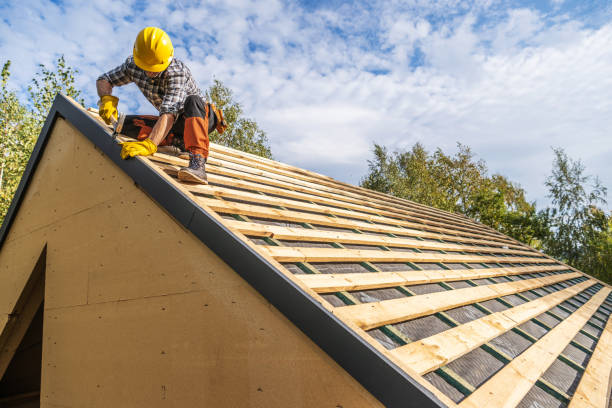 Best Gutter Installation and Roofing  in Forest Park, OH
