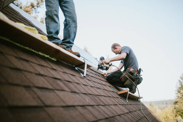 Best Roof Leak Repair  in Forest Park, OH